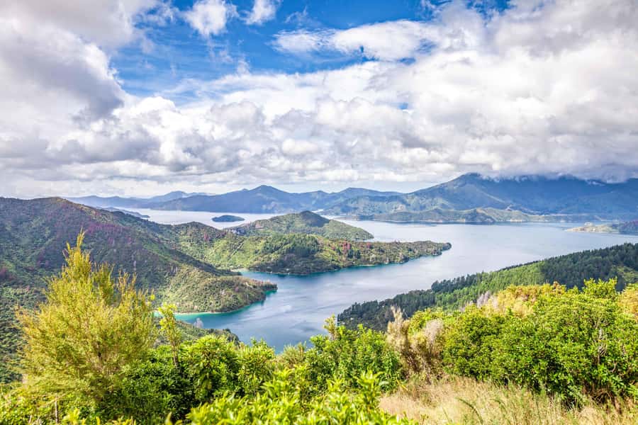 Marlborough Sounds and Ship Cove Cruise from Picton - Marlborough Sounds views from the water, not the roadside