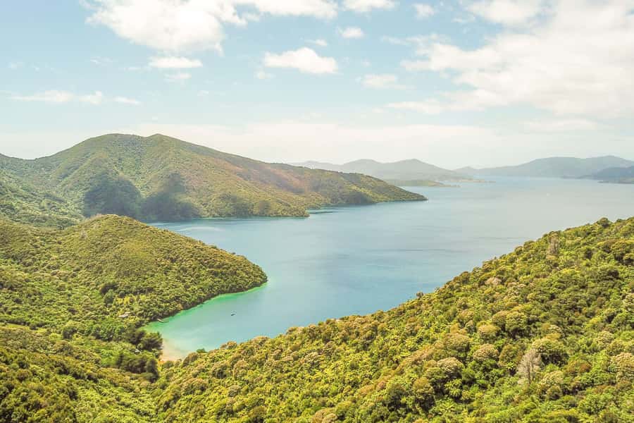 Marlborough Sounds and Ship Cove Cruise from Picton - The 9:00am start: what you gain by leaving Picton early