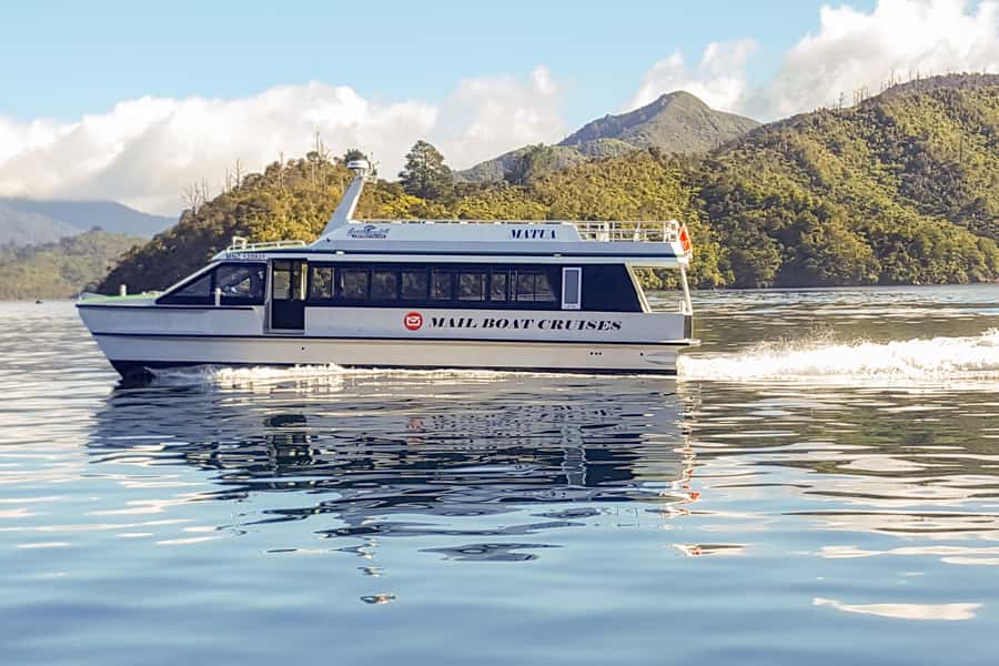 Marlborough Sounds and Ship Cove Cruise from Picton - Boat type and comfort: small charter feel or big-catamaran ease