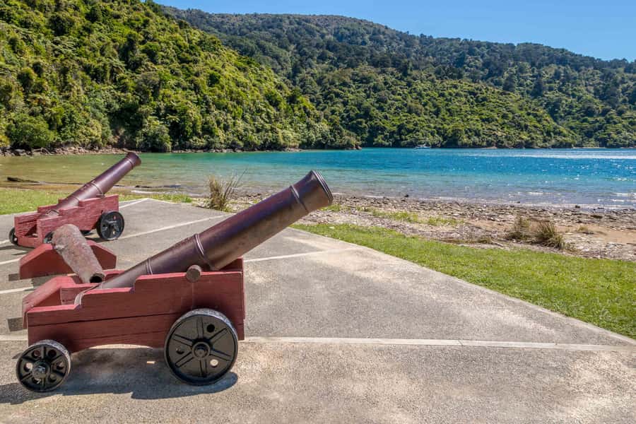 Marlborough Sounds and Ship Cove Cruise from Picton - Price and value for a 3-hour Picton boat cruise