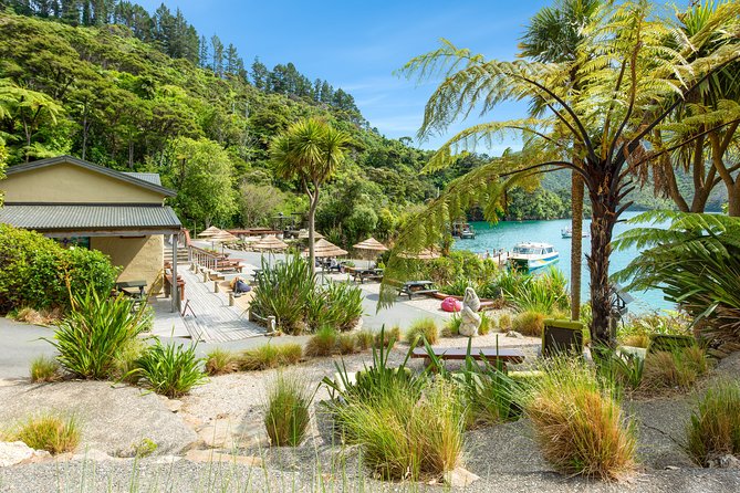 Marlborough Sounds Day Visit to Lochmara - Key points to know before you go