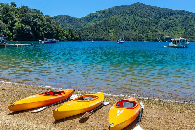 Marlborough Sounds Day Visit to Lochmara - What about lunch and drinks at the waterfront cafe