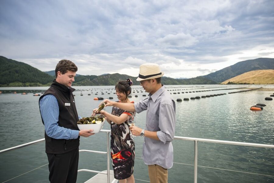 Marlborough Sounds: Greenshell Mussel Cruise - FAQ