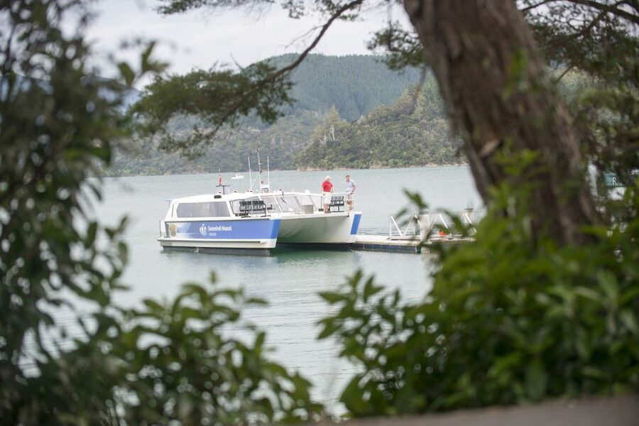 Marlborough Sounds: Greenshell Mussel Cruise - Who will enjoy this most