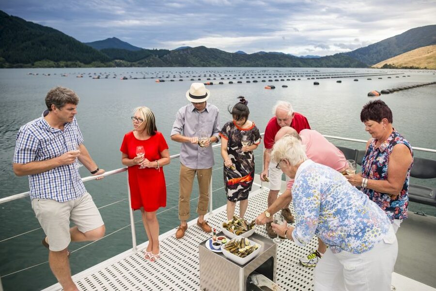 Marlborough Sounds: Greenshell Mussel Cruise - Should you book the Marlborough Sounds, Greenshell Mussel Cruise?