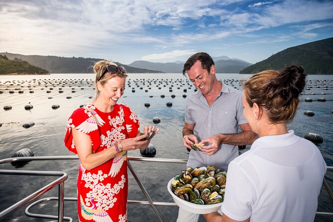 Marlborough Sounds Greenshell Mussel Tasting Cruise - Mussel farm pass-by and live commentary from the skipper