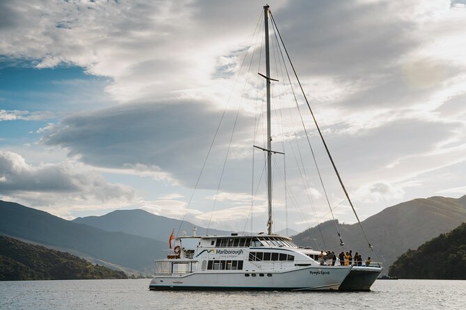Marlborough Sounds Greenshell Mussel Tasting Cruise - Who this cruise fits best in your Marlborough itinerary