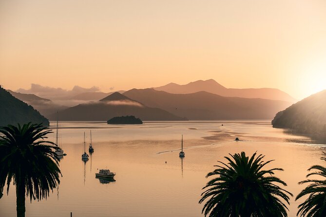Marlborough Sounds Greenshell Mussel Tasting Cruise - Practical tips so your cruise feels smooth