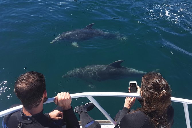 Marlborough Sounds Ultimate Cruise - Key things that make this cruise work so well