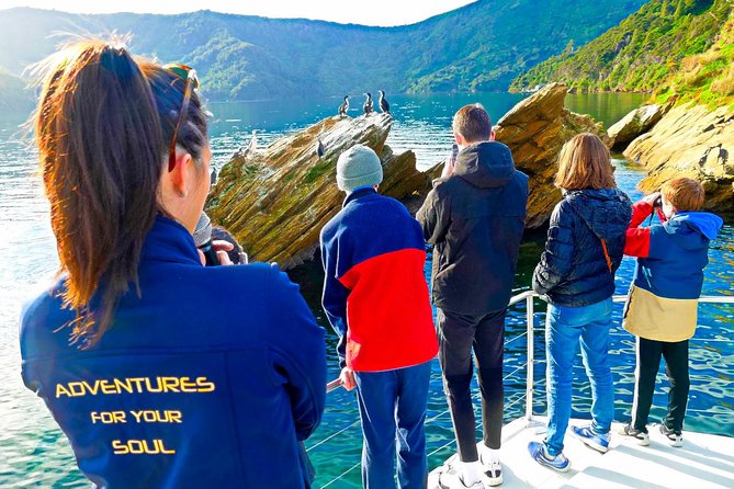 Marlborough Sounds Ultimate Cruise - Stop 1 at E-Ko Tours: Picton harbour view, wildlife display, free Wi-Fi