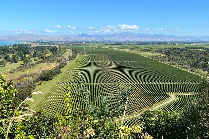 Marlborough Wine Region Tour from the Port of Picton - Stop 2: Saint Clair Family Estate Vineyard Kitchen, Sauvignon Blanc focus