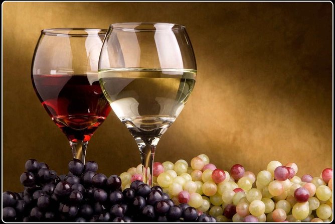 Marlborough Wine Region Tour from the Port of Picton - Stop 3: Forrest Wines Cellar Door, family-run hospitality and low alcohol pours