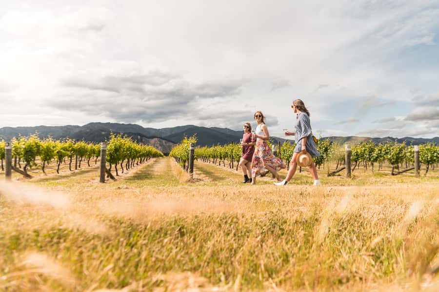 Marlborough: Wineries Visit and Tasting Session - Stop to Stop: Why Three Cellar Doors Works So Well