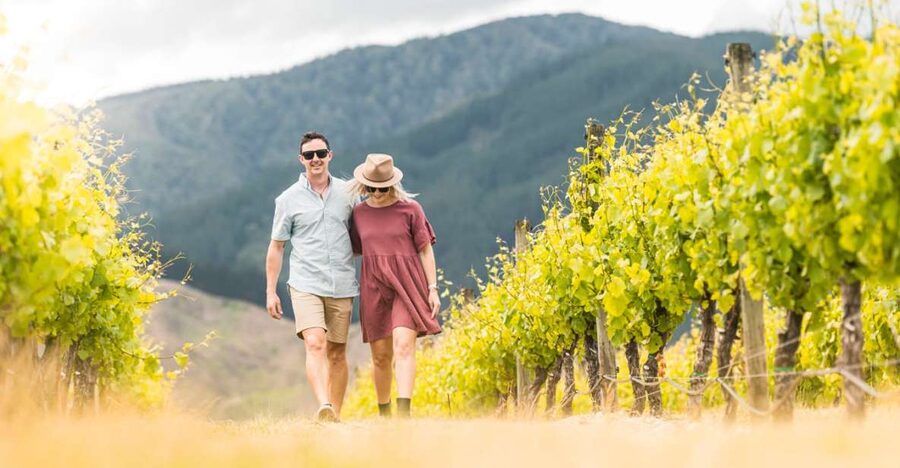Marlborough: Wineries Visit and Tasting Session - Cellar Door Stop 3: The One You’ll Talk About Later