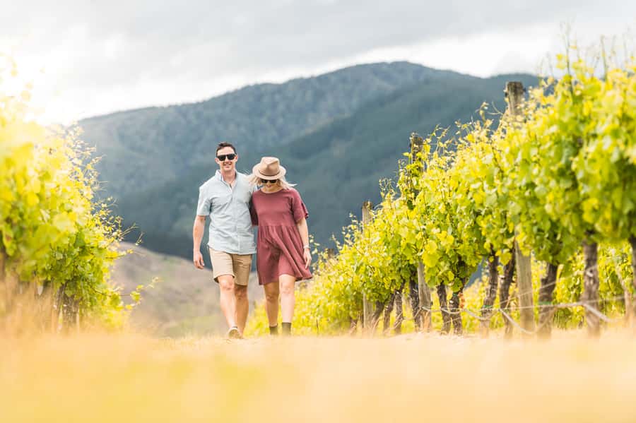 Marlborough: Wineries Visit and Tasting Session - The Day’s Rhythm: Pickup, Three Stops, Back by 16:30