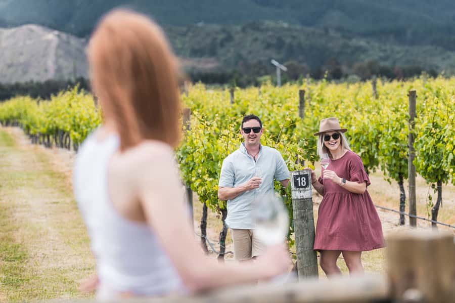 Marlborough: Wineries Visit with Tastings and 2-Course Lunch - A full day in Marlborough that stays friendly and unhurried