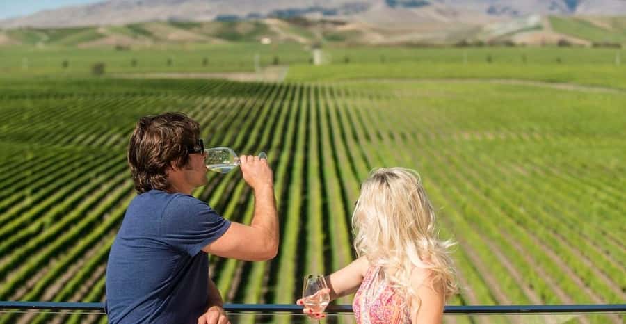 Marlborough: Wineries Visit with Tastings and 2-Course Lunch - The winery lineup: how the day balances iconic and boutique