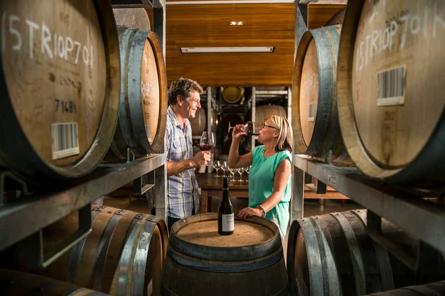 Marlborough: Wineries Visit with Tastings and 2-Course Lunch - Getting there: Blenheim pickup timing and the premium van comfort