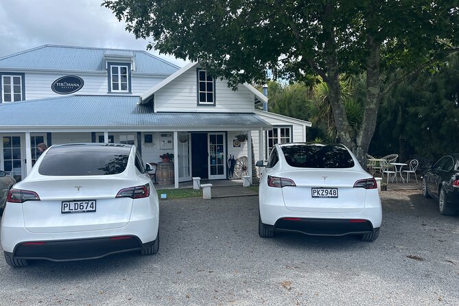 Martinborough Private Food and Wine Tour in Tesla SUV - Kaitoke Regional Park: a quick stretch with big viewpoint payback