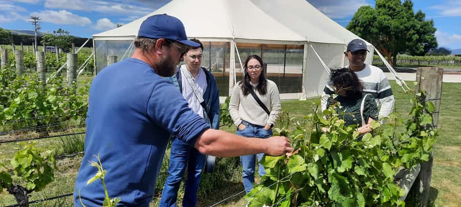 Martinborough Wine and Food Tour with Lunch from Wellington - Wellington to Martinborough via the Remutaka Ranges