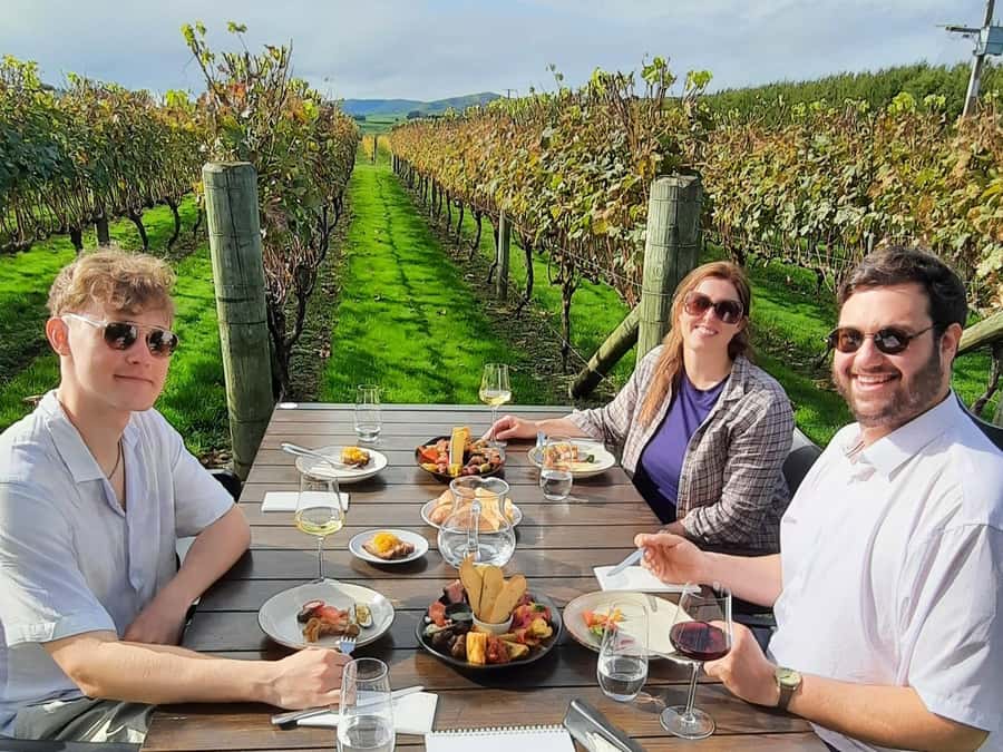 Martinborough Wine and Food Tour with Lunch from Wellington - Martinborough Brewery plus olive trees, beer and olive oil the practical way