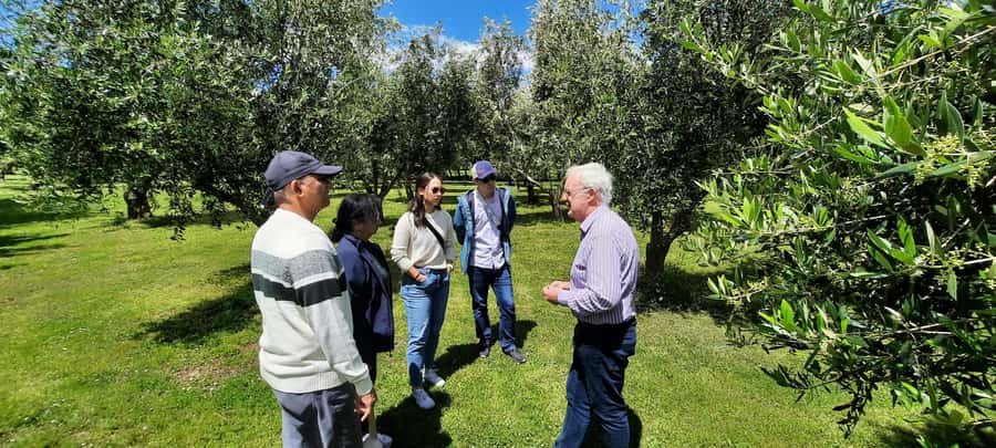 Martinborough Wine and Food Tour with Lunch from Wellington - Price and value for a full 8-hour day trip