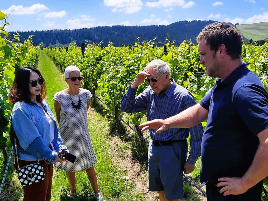 Martinborough Wine and Food Tour with Lunch from Wellington - Featherston cheese tasting, your palate training session