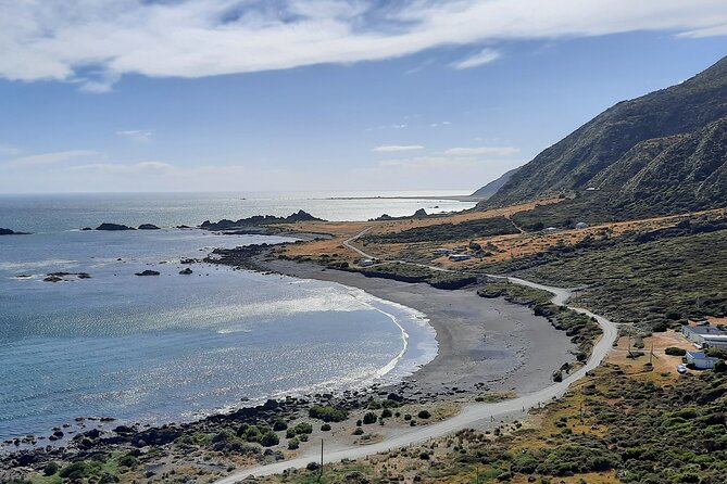 Martinborough Wine and Wild Coast Tour from Wellington - Kaitoke Regional Park swing bridge to Remutaka Rail Trail summit views