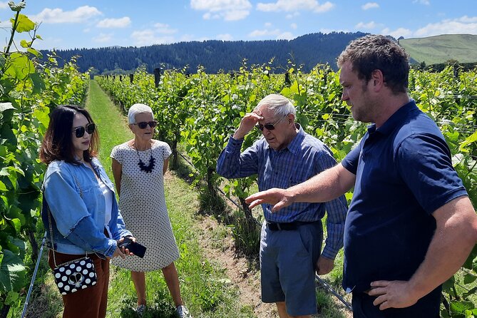 Martinborough Winery and Foodie Day Tour with vineyard lunch - Key highlights you will feel on the day