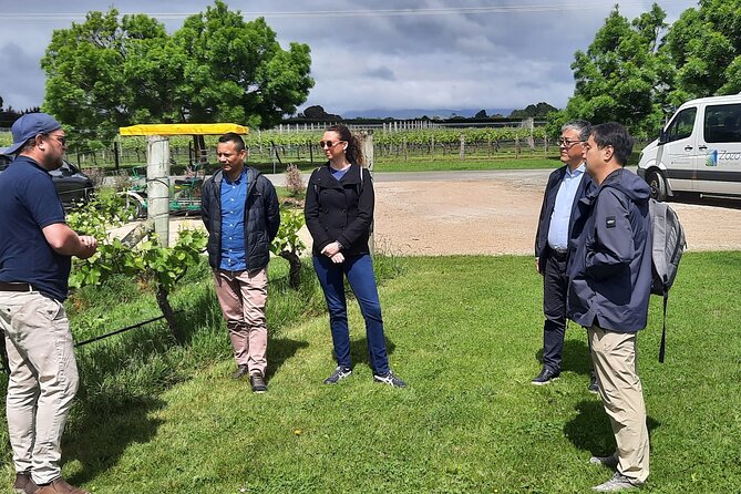 Martinborough Winery and Foodie Day Tour with vineyard lunch - Martinborough Brewery craft beer paddle: choose 4 of 8