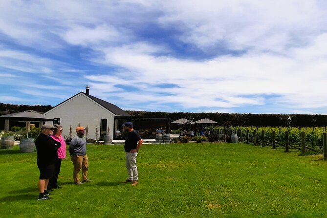 Martinborough Winery and Foodie Day Tour with vineyard lunch - Olivo olive tasting: oldest trees, then learn how to taste