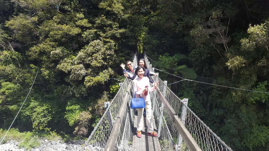 Martinborough Winery and South Wairarapa Wild Coast Tour - Key things to know before you go