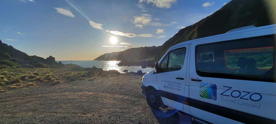 Martinborough Winery and South Wairarapa Wild Coast Tour - A full day that feels like two trips: wine country plus wild coast