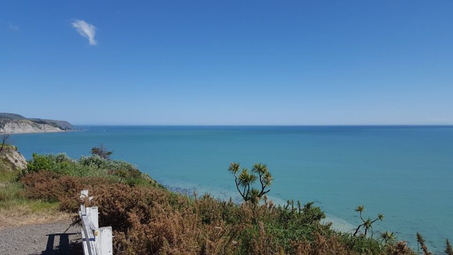 Martinborough Winery and South Wairarapa Wild Coast Tour - Cape Palliser Lighthouse: panoramic views and an optional climb