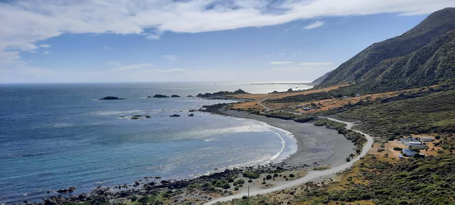 Martinborough Winery and South Wairarapa Wild Coast Tour - Sea lion viewing point and the coast rhythm
