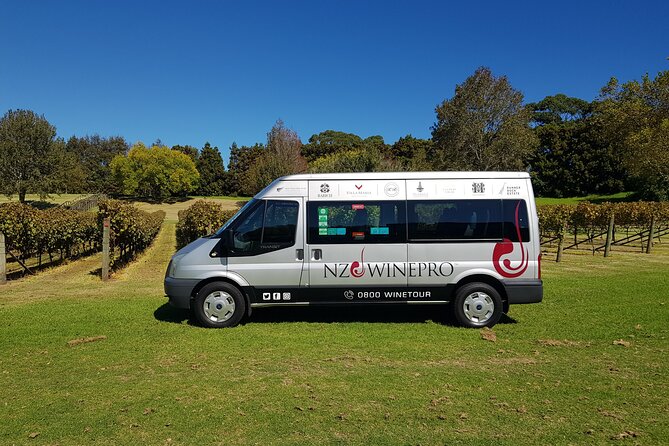Matakana Scenic Coastal Getaway from Auckland - Small-group comfort and the kind of day you come home from