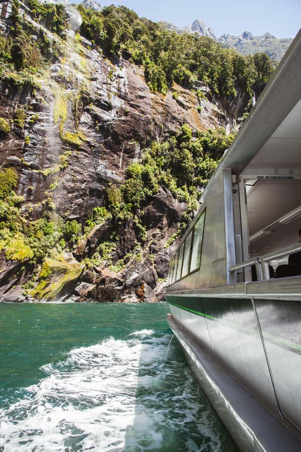Milford Sound: 2-Hour Small Boat Scenic Cruise - Wildlife odds: seals, dolphins, and penguins when conditions cooperate