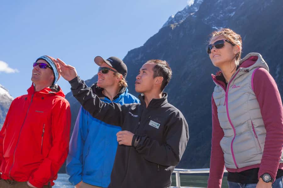 Milford Sound: 2-Hour Small Boat Scenic Cruise - Motion and sea sickness: the one practical drawback to take seriously