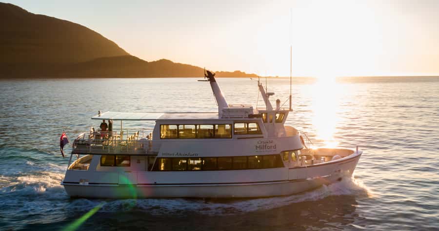 Milford Sound: Boutique Small-Boat Cruise - Wildlife along the way: seals, dolphins, and penguin timing