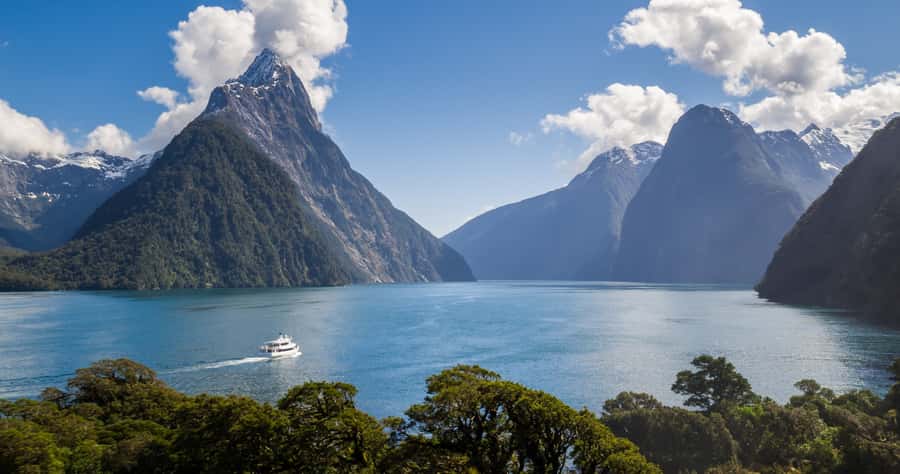 Milford Sound: Boutique Small-Boat Cruise - Price and value at about $101, what you get and what you bring