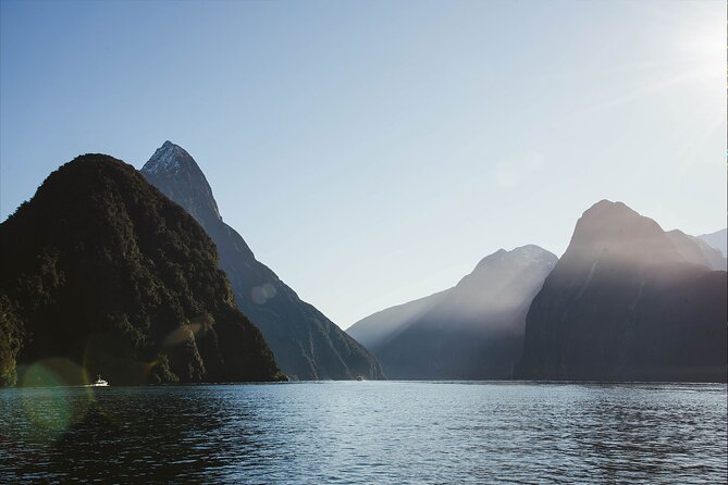 Milford Sound Business Class from Queenstown Cruise Lunch - Price and value: what $433.78 buys you for a full day