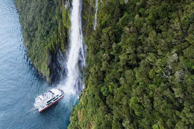 Milford Sound Coach & Cruise ex Te Anau Stunning Views with Lunch - Monkey Creek and Lake Gunn, plus kea and glacier-fed water