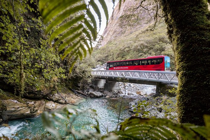 Milford Sound Coach & Cruise ex Te Anau Stunning Views with Lunch - Why this drive beats self-guiding the Milford Road