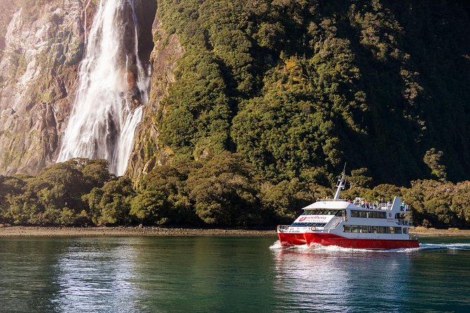 Milford Sound Coach & Cruise from Queenstown: Panoramic Views - How Much Does It Cost, and Is It Worth It?