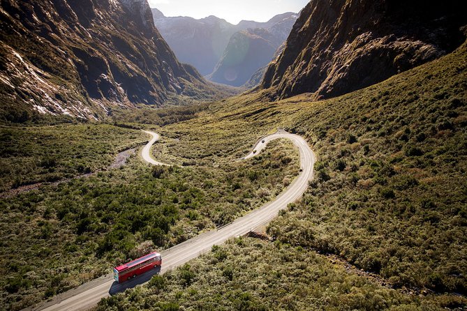 Milford Sound Coach & Cruise from Queenstown: Panoramic Views - Quick Practical Notes Before You Book
