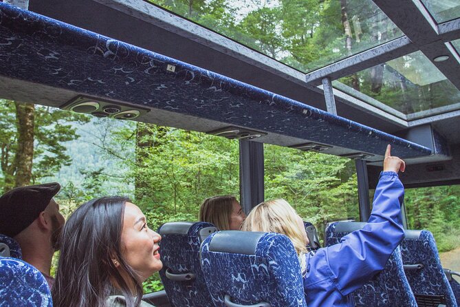 Milford Sound Coach & Cruise Tour from Te Anau - Milford Sound from Te Anau: why this coach-and-cruise beats self-driving