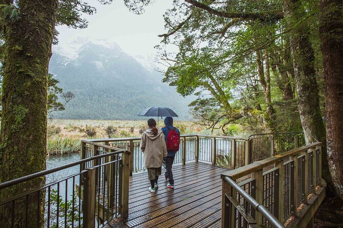 Milford Sound Coach & Cruise Tour from Te Anau - Value for $127.22: what you’re really paying for