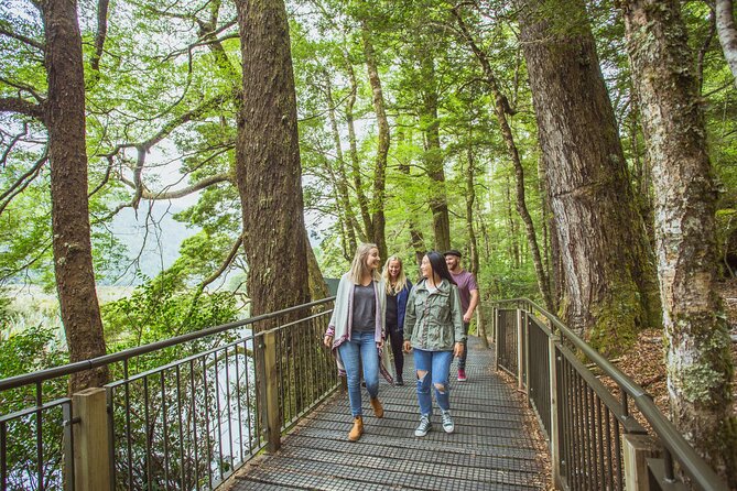 Milford Sound Coach & Cruise Tour from Te Anau - Kiwi Country start: meeting your driver and getting oriented fast