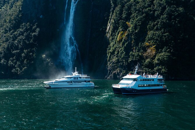 Milford Sound Cruise - Key highlights at a glance