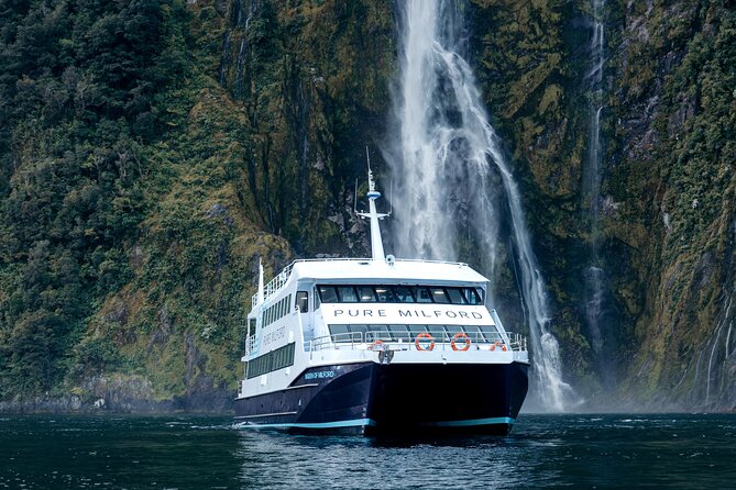 Milford Sound Cruise - Pure Milford Check-In: Quick Walk, Easy Boarding, and What to Aim For